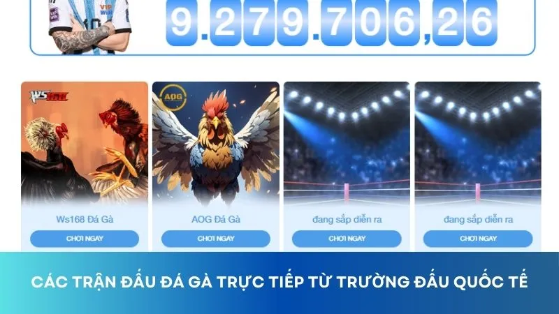 Game đá gà với các loại kèo đa dạng đang chờ anh em trải nghiệm