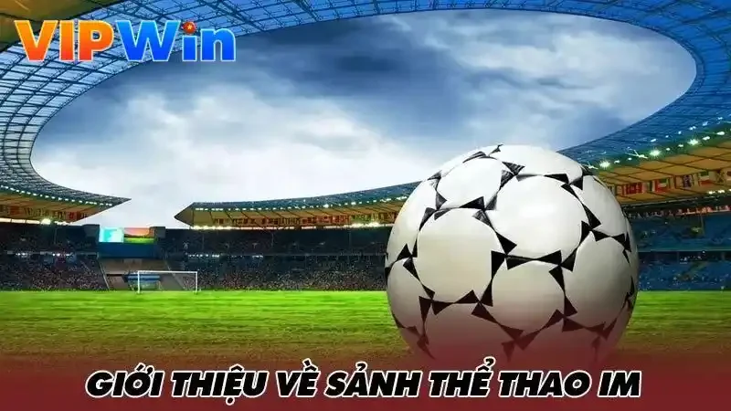 Giới thiệu sảnh IM thể thao