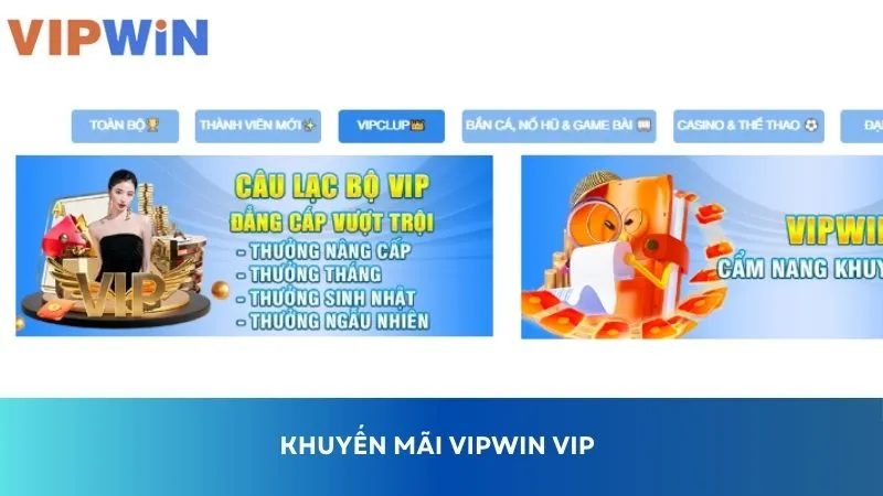 Các chương trình ưu đãi đặc biệt cho các thành viên VIP