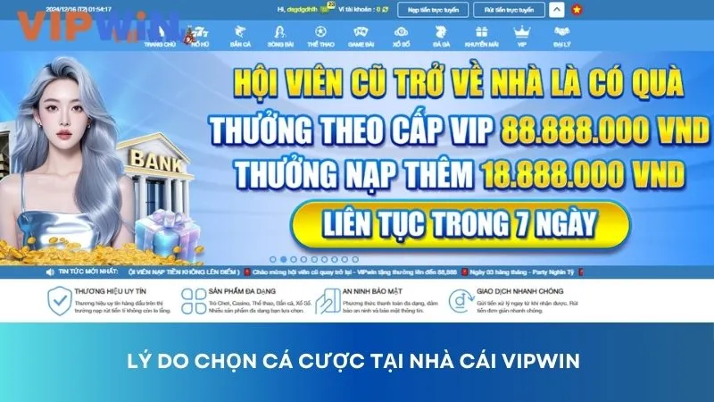 Lý do nên chọn cá cược tại nhà cái VIPWIN?