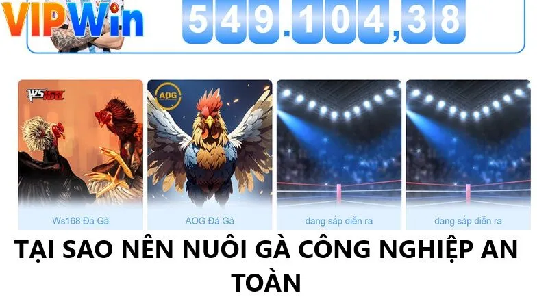 Lý do nên nuôi gà công nghiệp đảm bảo an toàn