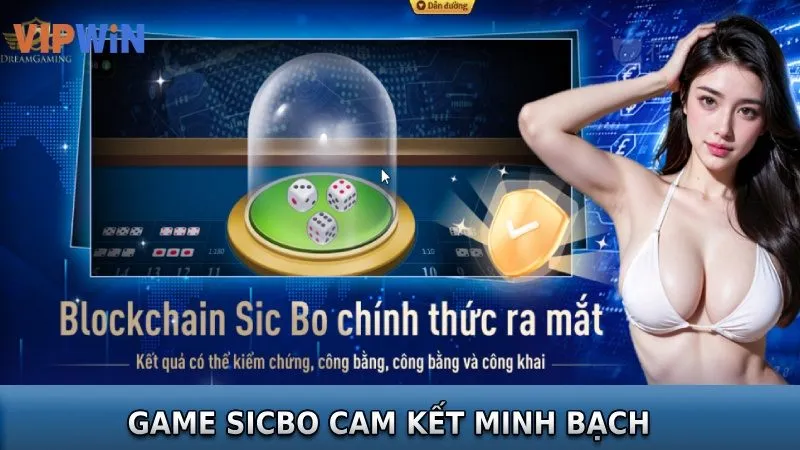 Sicbo tại nhà cái VIPWIN cam kết minh bạch, công khai kết quả