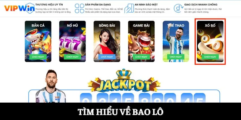 Tìm hiểu về bao lô