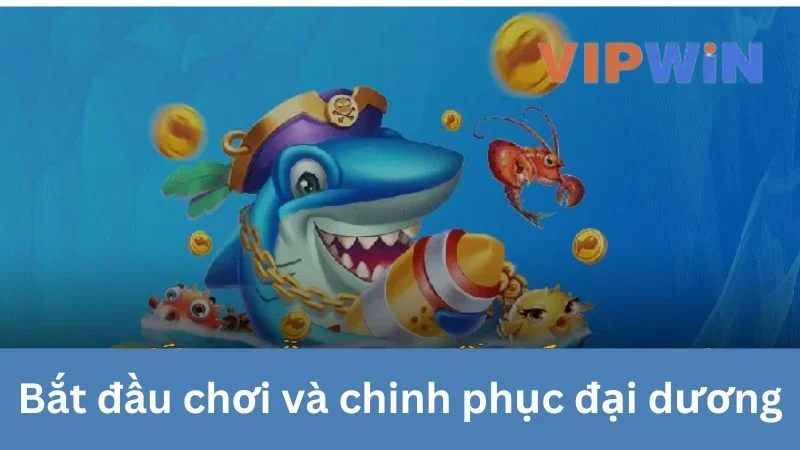 Bắt đầu chơi và chinh phục đại dương